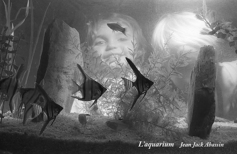 04 Jean Jack Abassin l'aquarium