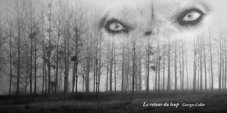11  COLLOT Georges-Le retour du Loup N&B.jpg