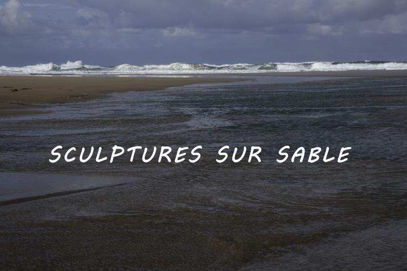 Eric Lefebvre Sculptures sur sable 01