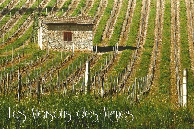 Georges Collot Les maisons des vignes 01