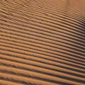 Dunes réalisé par Michel Lecré