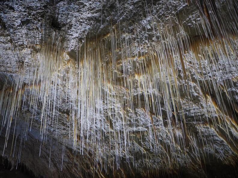 Evelyne Ferracioli - Grotte de Choranche (11).JPG