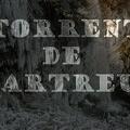 Torrent de Chartreuse (série sonorisée de Patrick Rottiers)