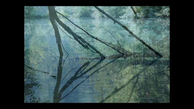 "L'étang chimérique" : montage réalisé par Jean Louis Pierre