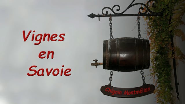 Vignes en Savoie (réalisation de Patrick Rottiers)