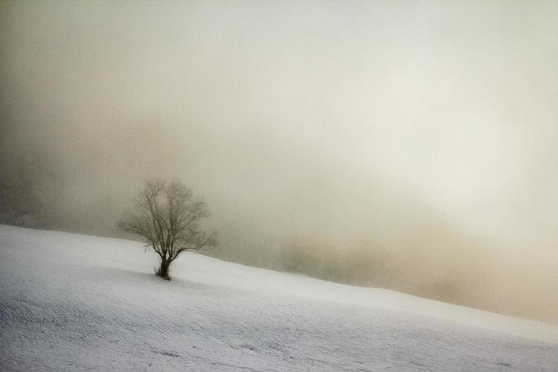 Claude PREDAL_Solitude hivernale.jpg