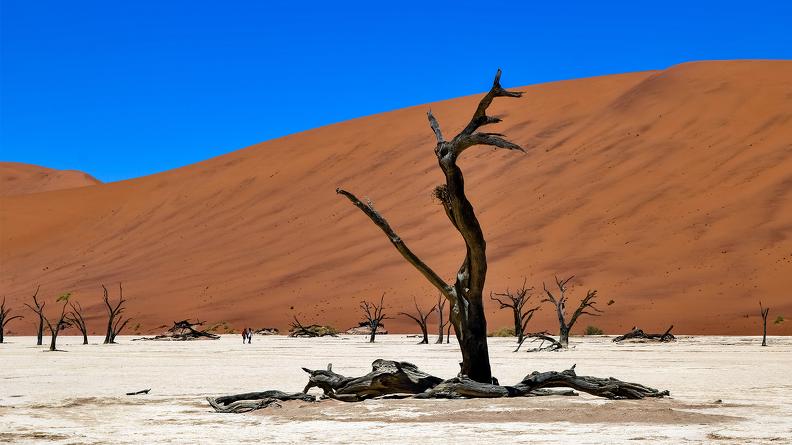Patrick Dereymez Namibie-Sossusvlei.jpg