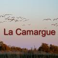 La Camargue (réalisation de Joël GUERRE).mp4