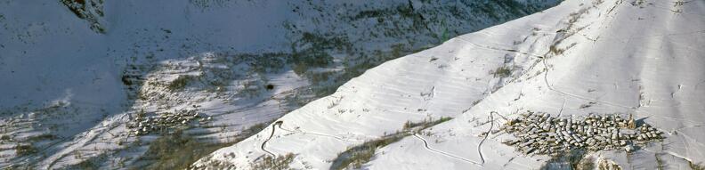 ClavansBesse