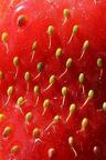 Jacques L Fraise