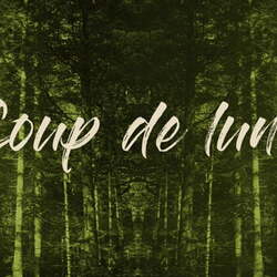 DIAPORAMAS par auteur