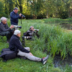 Marais de Montfort - 2026