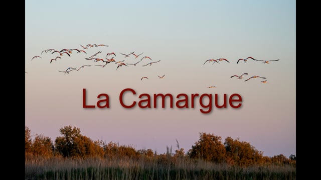 La Camargue (réalisation de Joël GUERRE).mp4