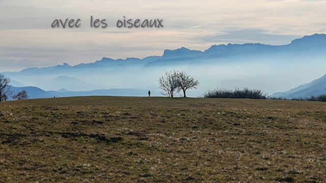 Avec les oiseaux (réalisation de Serge MATHECADE)