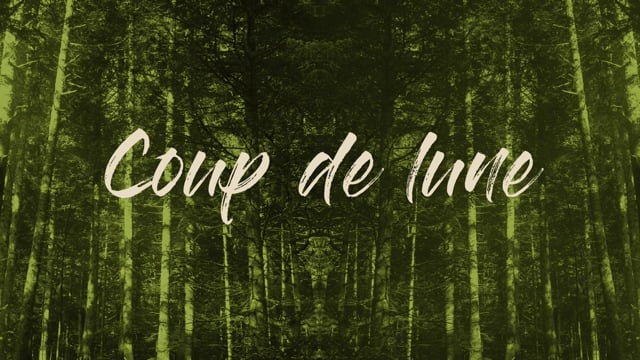 Coup de lune (réalisation de Florent BORGEL)